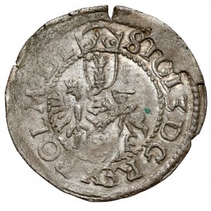 Zygmunt III Waza, Szeląg Wschowa 1596 - rzadki