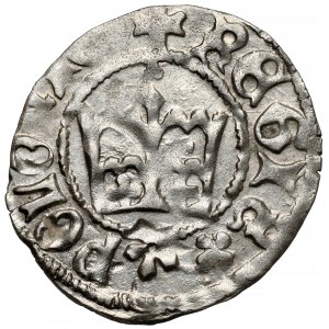 Kazimierz IV Jagiellończyk, Półgrosz Kraków - Poraj