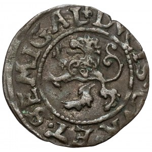 Kurlandia, Gotard Kettler, Szeląg Mitawa 1576