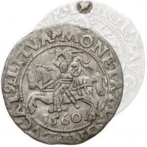 Zygmunt II August, Półgrosz Wilno 1560 - ROZETA