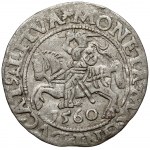 Zygmunt II August, Półgrosz Wilno 1560 - ROZETA