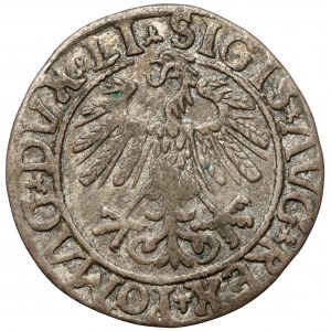 Zygmunt II August, Półgrosz Wilno 1558 - przebitka ostatniej cyfry