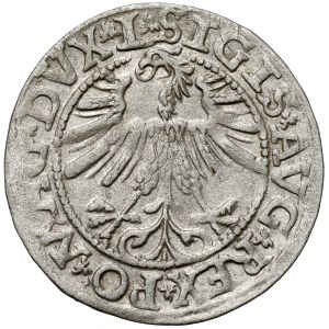 Zygmunt II August, Półgrosz Wilno 1563 - bez D*G