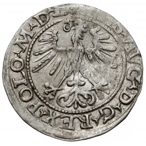 Zygmunt II August, Półgrosz Wilno 1563 - z D*G