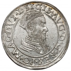 Zygmunt II August, Czworak Wilno 1566