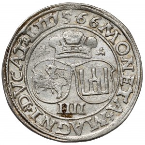 Zygmunt II August, Czworak Wilno 1566