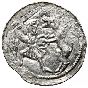 Władysław II Wygnaniec, Denar - Walka z lwem