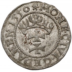 Zygmunt II August, Szeląg Gdańsk 1550 - RZADKI