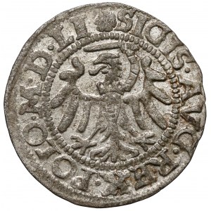 Zygmunt II August, Szeląg Gdańsk 1550 - RZADKI