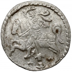 Zygmunt III Waza, Dwudenar Wilno 1609 - rzadki