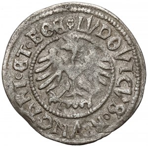 Śląsk, Świdnica, Ludwik Jagiellończyk, Półgrosz 1518