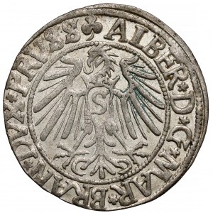 Prusy, Albert Hohenzollern, Grosz Królewiec 1542