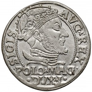 Zygmunt II August, Grosz na stopę polską 1547, Wilno