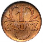Próby BRĄZ 1 grosz 1923 - JEDNOSTRONNE odbitki - parka (2szt)
