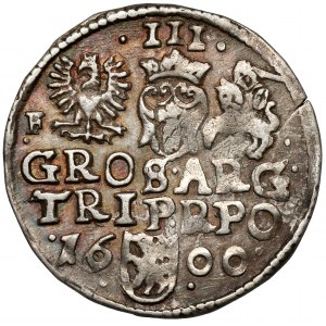Zygmunt III Waza, Trojak Wschowa 1600 - szeroka twarz