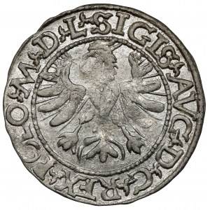 Zygmunt II August, Półgrosz Tykocin 1566 - Jastrzębiec - piękny