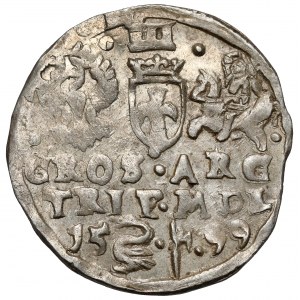 Zygmunt III Waza, Trojak Wilno 1599 - Łabędź