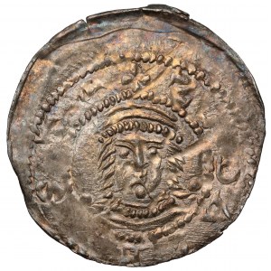 Przemysł I i Bolesław Pobożny, Denar Gniezno (1239-1249)