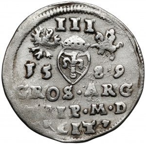 Zygmunt III Waza, Trojak Wilno 1589 - Leliwa (RRR)