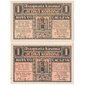 Cieszyn, 1 korona 1919 - kwiecień / październik (2szt)