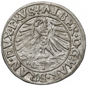Prusy, Albrecht Hohenzollern, Grosz Królewiec 1550
