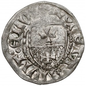 Kazimierz IV Jagiellończyk, Szeląg Elbląg