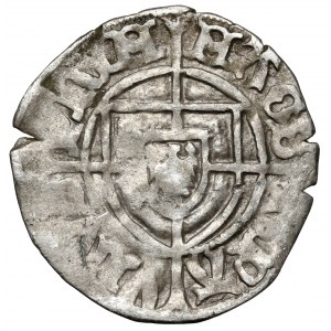 Zakon Krzyżacki, Paweł von Russdorf, Szeląg