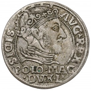 Zygmunt II August, Grosz na stopę polską 1548, Wilno