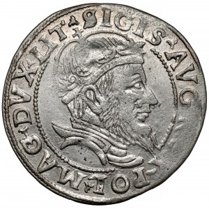 Zygmunt II August, Grosz na stopę litewską 1555, Wilno