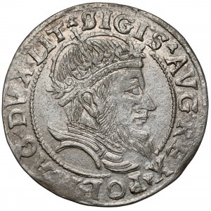 Zygmunt II August, Grosz na stopę litewską 1555, Wilno - b.ładny