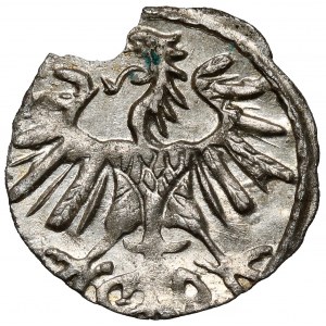 Zygmunt II August, Denar Wilno 1554