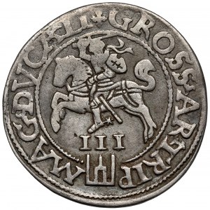Zygmunt II August, Trojak Wilno 1562 - duża Pogoń