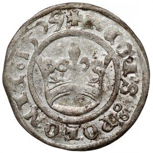 Zygmunt I Stary, Półgrosz Kraków 1509