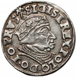 Zygmunt I Stary, Trojak Gdańsk 1538 - bardzo ładny