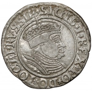 Zygmunt I Stary, Grosz Toruń 1535