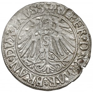 Prusy, Albert Hohenzollern, Grosz Królewiec 1543
