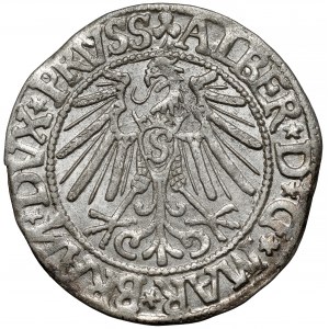 Prusy, Albert Hohenzollern, Grosz Królewiec 1544