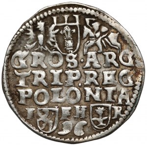 Zygmunt III Waza, Trojak Poznań 1596
