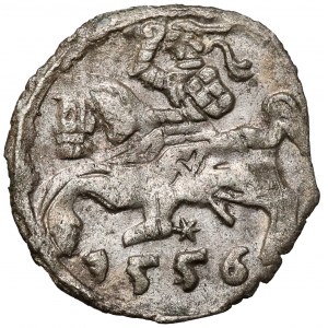 Zygmunt II August, Denar Wilno 1556