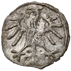Zygmunt II August, Denar Wilno 1556