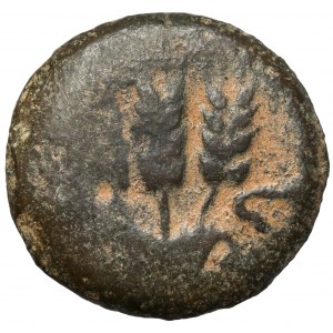 Judaea, Agryppa I (37-44 n.e.) Prutah, Jerozolima