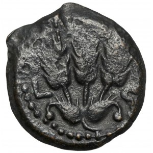 Judaea, Agryppa I (37-44 n.e.) Prutah, Jerozolima