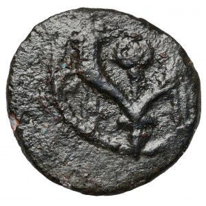 Judaea, Alexander Jannaeus (104-76 p.n.e.) Prutah, Jerozolima