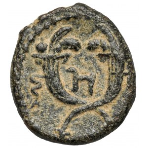 Grecja, Nabatea Petra, Aretas IV (9-40 n.e.) AE13