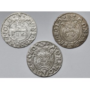 Zygmunt III Waza, Półtoraki Bydgoszcz 1625-1627 - zestaw (3szt)