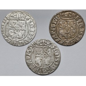 Zygmunt III Waza, Półtoraki Bydgoszcz 1625-1627 - zestaw (3szt)