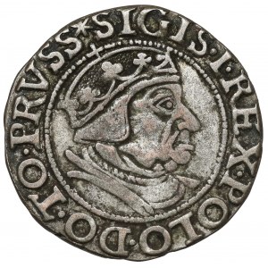 Zygmunt I Stary, Grosz Gdańsk 1538