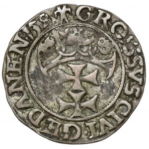 Zygmunt I Stary, Grosz Gdańsk 1538