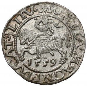 Zygmunt II August, Półgrosz Wilno 1559 - M/\GNI