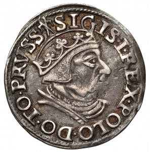 Zygmunt I Stary, Trojak Gdańsk 1538